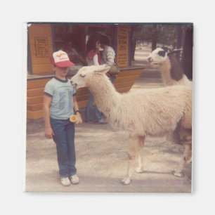 Skeppsbruten 'Um sticka Llama Magnet