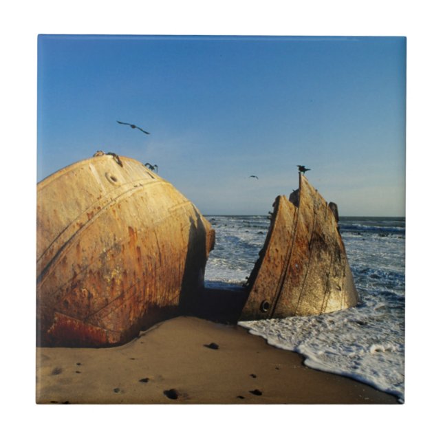 Skeppsfartyg på Beach, Skeleton Kusten, Namibia Kakelplatta (Framsidan)