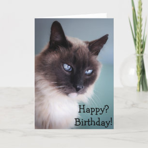 Skeptisk eller grumlig katt: Lycklig? Födelsedag! Kort