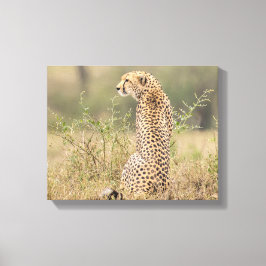 Sketah i naturlig miljö, förstörd canvastryck