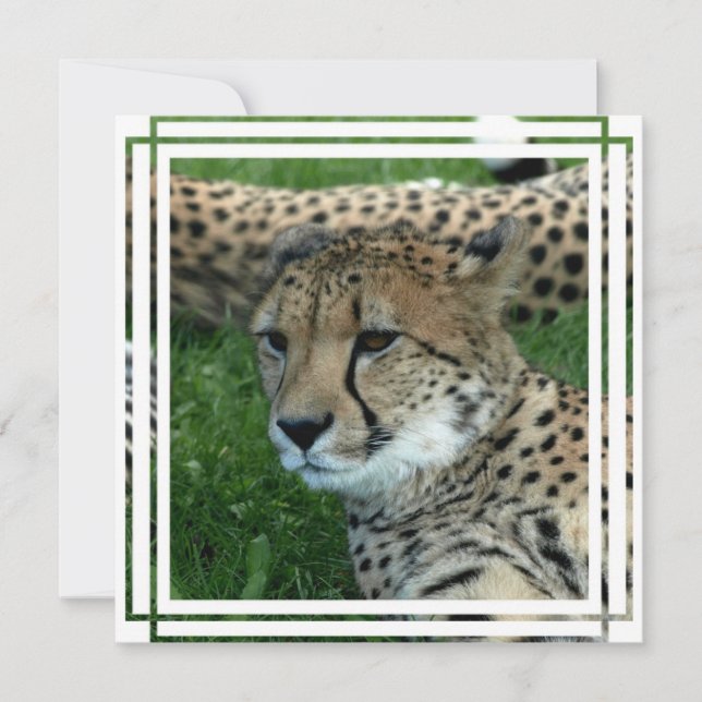 Sketah-inbjudan Inbjudningar (Framsida)