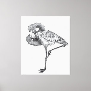 Sketch American BW Flamingo Funny Flamingo Canvastryck