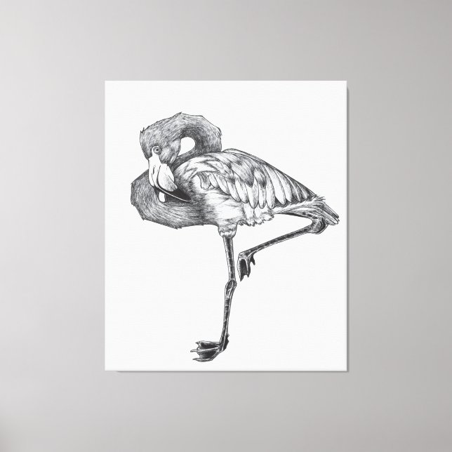 Sketch American BW Flamingo | Funny Flamingo Canvastryck (Framsida)