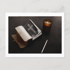 Sketch Book of Approachable Wolf J. H. Thornton Vykort