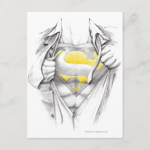 Sketched Chest Superman Logotyp Vykort