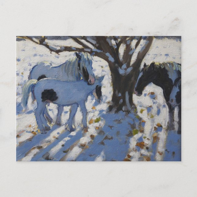 Skewbald Ponies in Winter 2012 Vykort (Framsida)