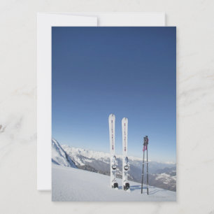 Ski- och skidpoler