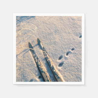 Ski-spår Pappersservett