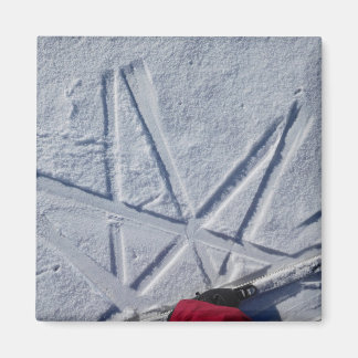 Ski Star Magnet