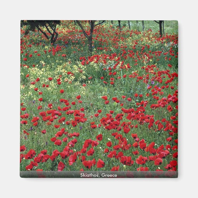 Skiathos, Grekland Magnet (Framsidan)