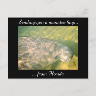 Skicka dig en Manatee Hug från Florida-vykort Vykort