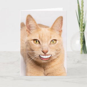 Skicka en sjörädd katt med mänsklig tjud helgkort