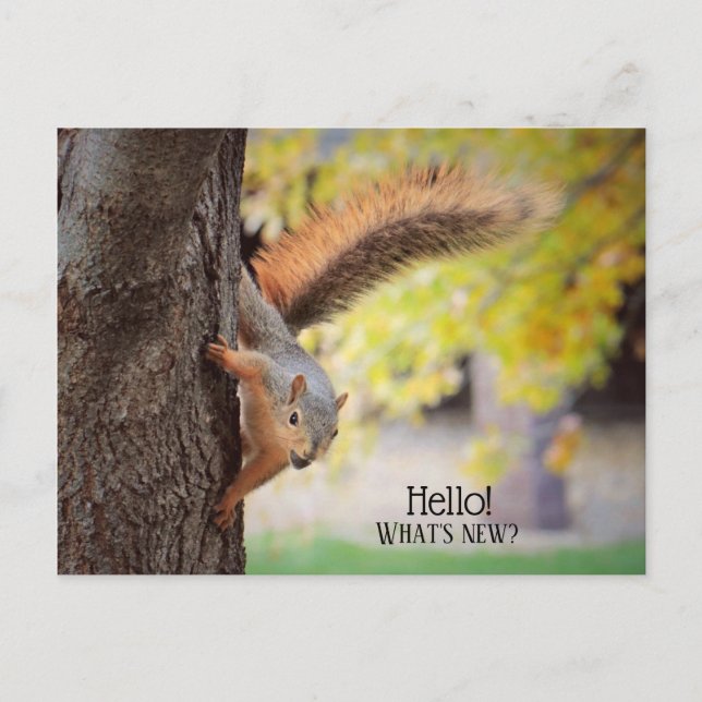 Skicka för att säga Hej vykort (Framsida)