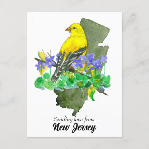 Skicka Goldfinch Violet Kärlek New jersey Vykort