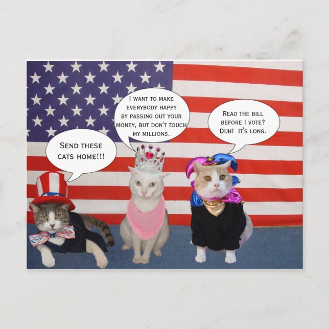 Skicka hem katterna! vykort (Framsida)