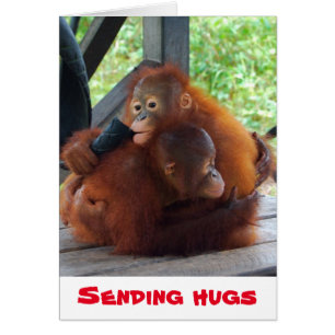 Skicka Hugs Valentine Hälsningskort