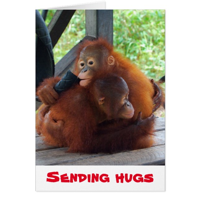 Skicka Hugs Valentine Hälsningskort (Framsidan)