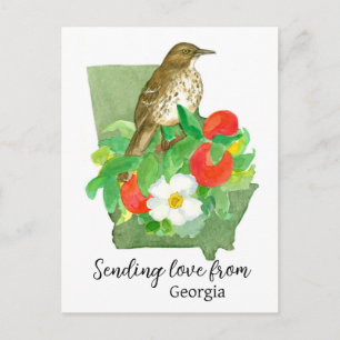 Skicka Kärlek från Georgia Bird Peach Ro Vykort