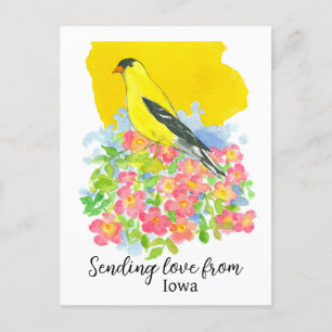 Skicka Kärlek från Iowa Goldfinch Prairie Ro Vykort