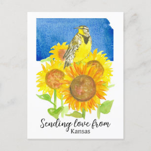 Skicka Kärlek från Kansas Meadowlark Solblommor Vykort