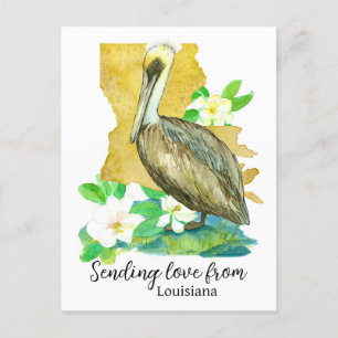 Skicka Kärlek från Louisiana Pelican Magnolia Vykort