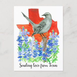 Skicka kärlek från Texas Mockingbird Bluebonnets Vykort
