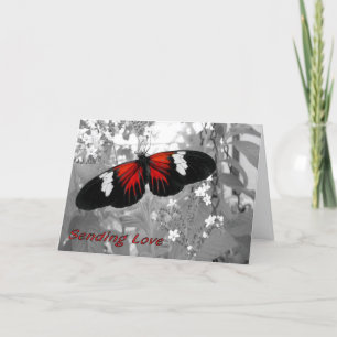 Skicka Kärlek-kort via Carrier Butterfly Kort