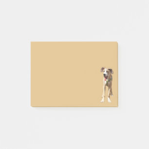 Skicka noterna Walter till Great dane Post-it Block