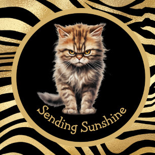 Skicka solsken eller texten från Tabby katt Mugg