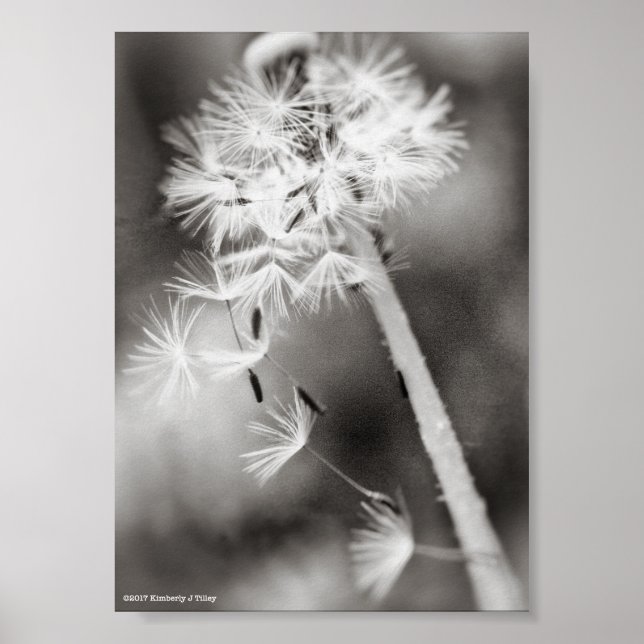 Skicka ut Önskemål Poster (Framsidan)