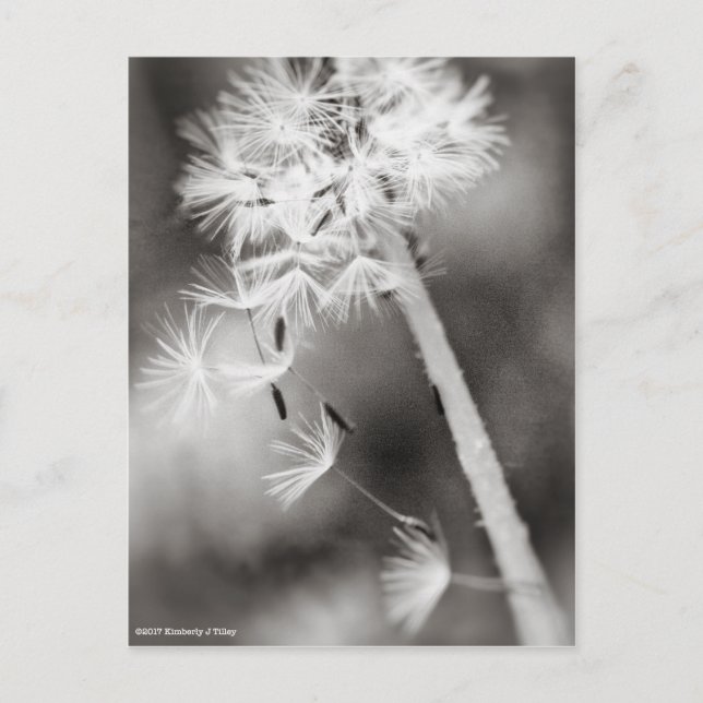 Skicka ut Önskemål Vykort (Framsida)