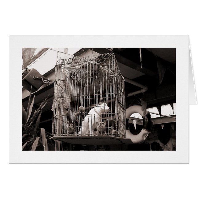 Skickade Beaster Hälsningskort (Framsidan Horizontal)