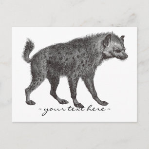 Skickat Hyena-vykort Vykort