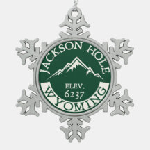 Skida Jackson Hole Wyoming att skida