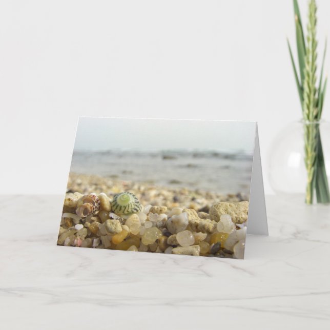 Skillnad - snäcka och småsten på stranden kort (Framsida)