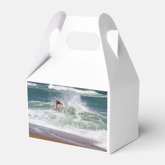 Skimboarding av Shirley Taylor Presentaskar (Framsidan Sidan)