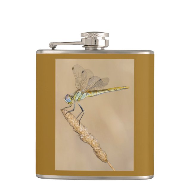 Skimmer Trollslända Insekt Hona (CC BY 4.0) Flask Fickplunta (Framsidan)