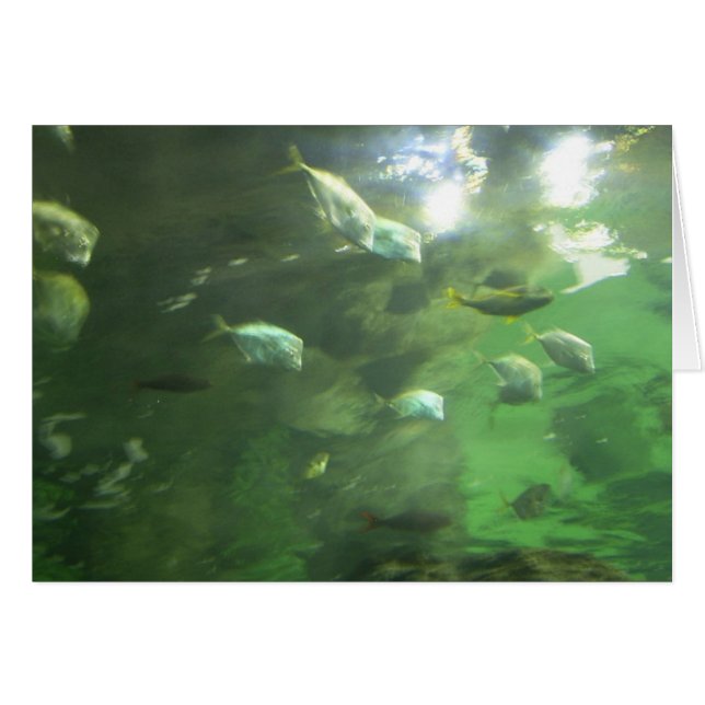 Skimrande fisk hälsningskort (Framsidan Horizontal)