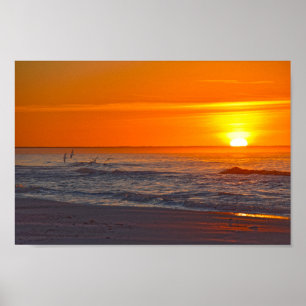 Skimrar som flyger vid Sunrise, Florida Beach Poster