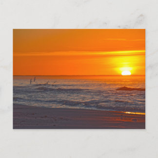 Skimrar som flyger vid Sunrise, Florida Beach Vykort
