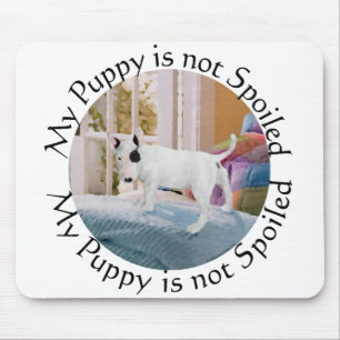 Skindat? Bull Terrier Puppy. . . Inte Musmatta