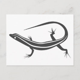 Skink ödlavykort vykort
