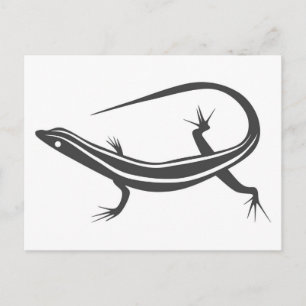 Skink ödlavykort vykort