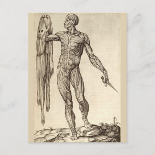 Skinned Alive Vykort