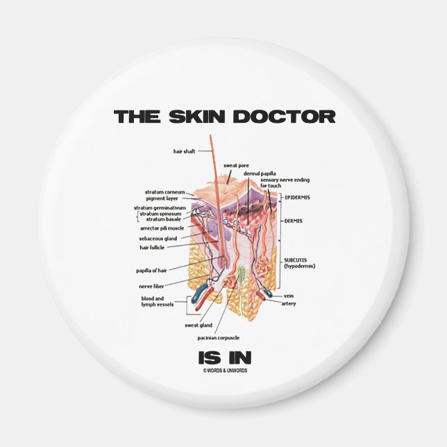 Skinnet Doktor är inne (dermatologisk attityd) Magnet (Framsidan)