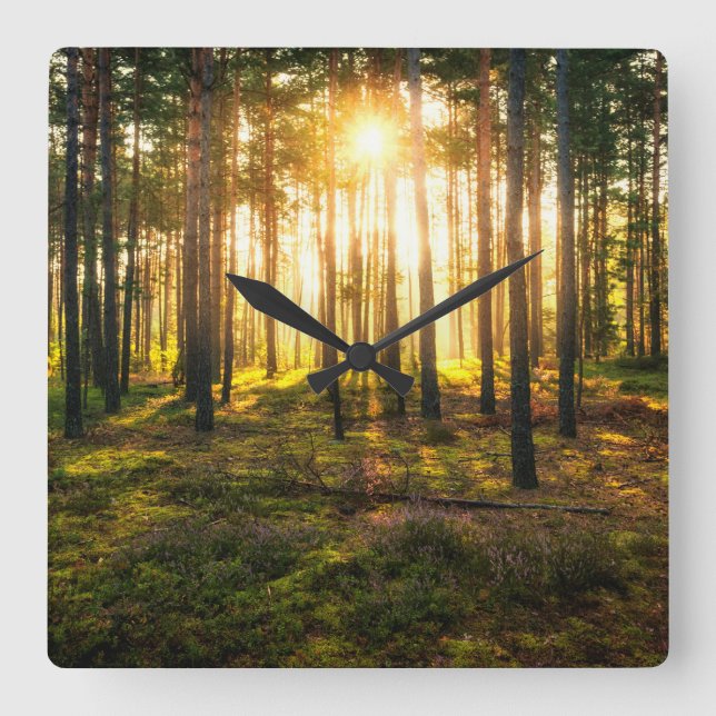 Skinor från sol i gräs fyrkantig klocka (Framsida)