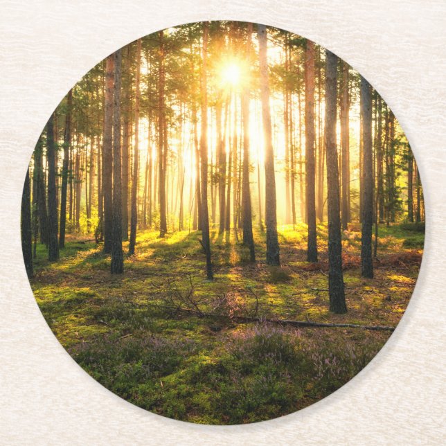 Skinor från sol i gräs underlägg papper rund (Framsidan)