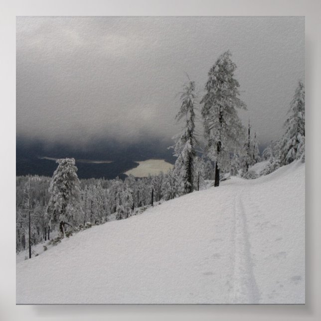 Skintrack @ Skalbergsfoto Poster (Framsidan)