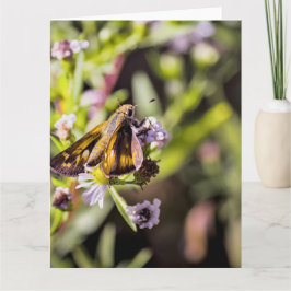 Skipper Butterfly Kort