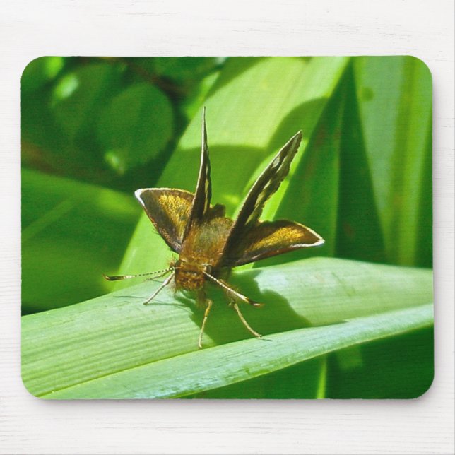 Skipper Butterfly Mousepad Musmatta (Framsidan)